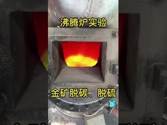 Desulfurization of gold ore